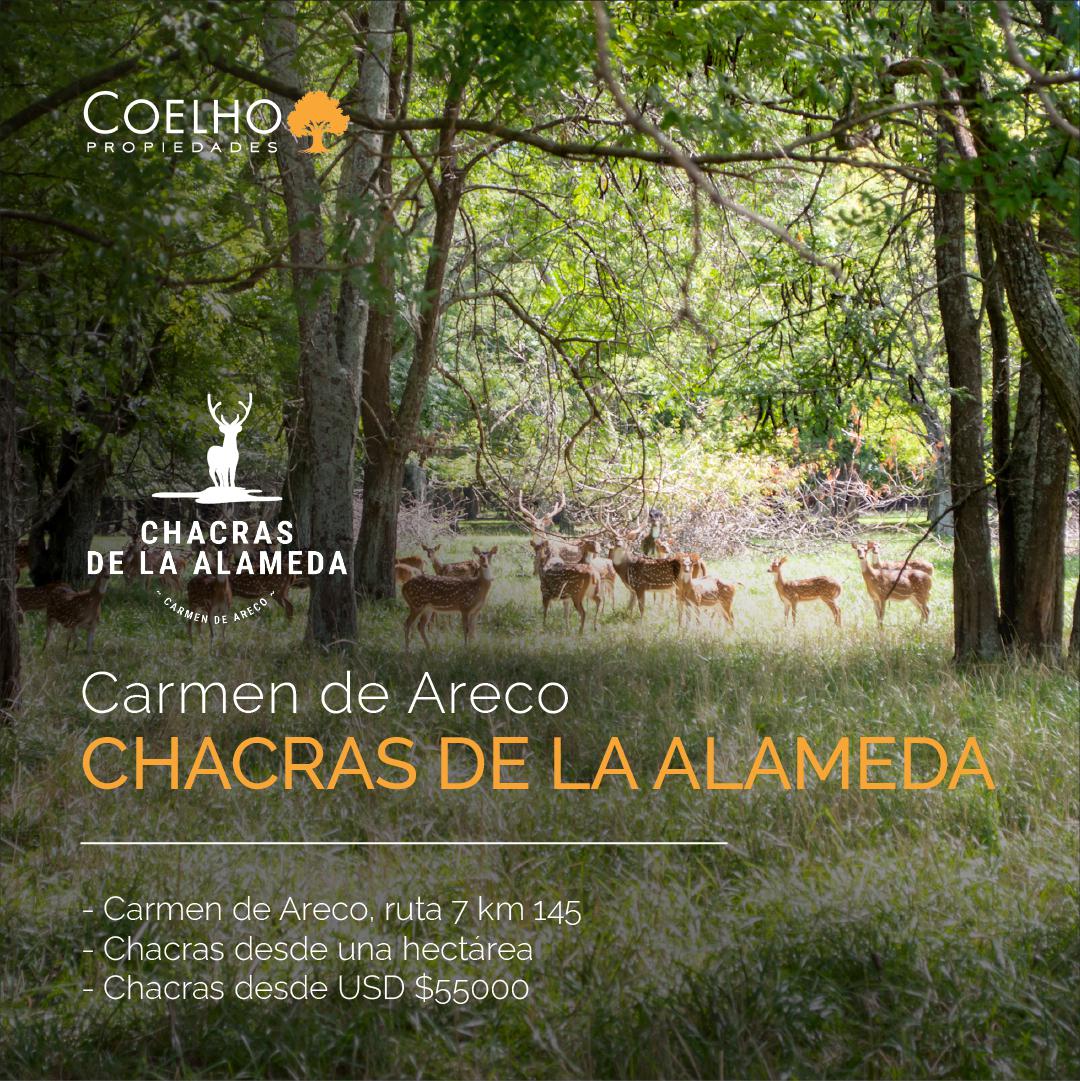 Chacra en venta en Carmen De Areco - Chacras de la Alameda