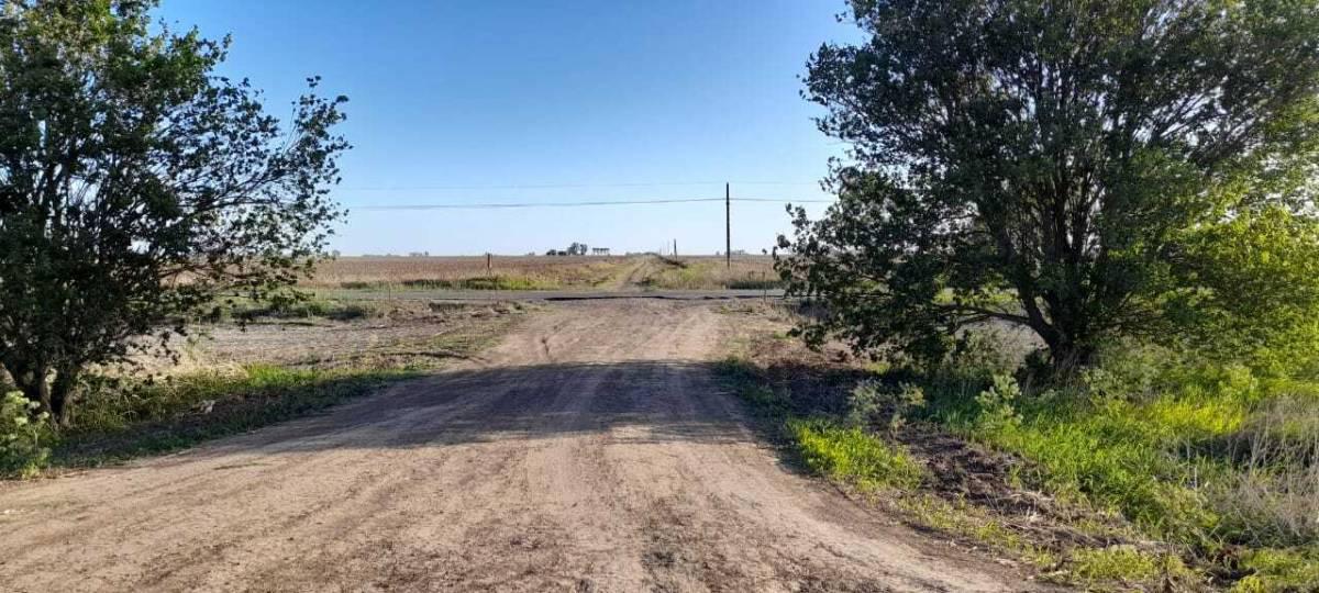 Venta campo sobre Ruta 6 Cruz Alta 40 hectáreas agrícolas