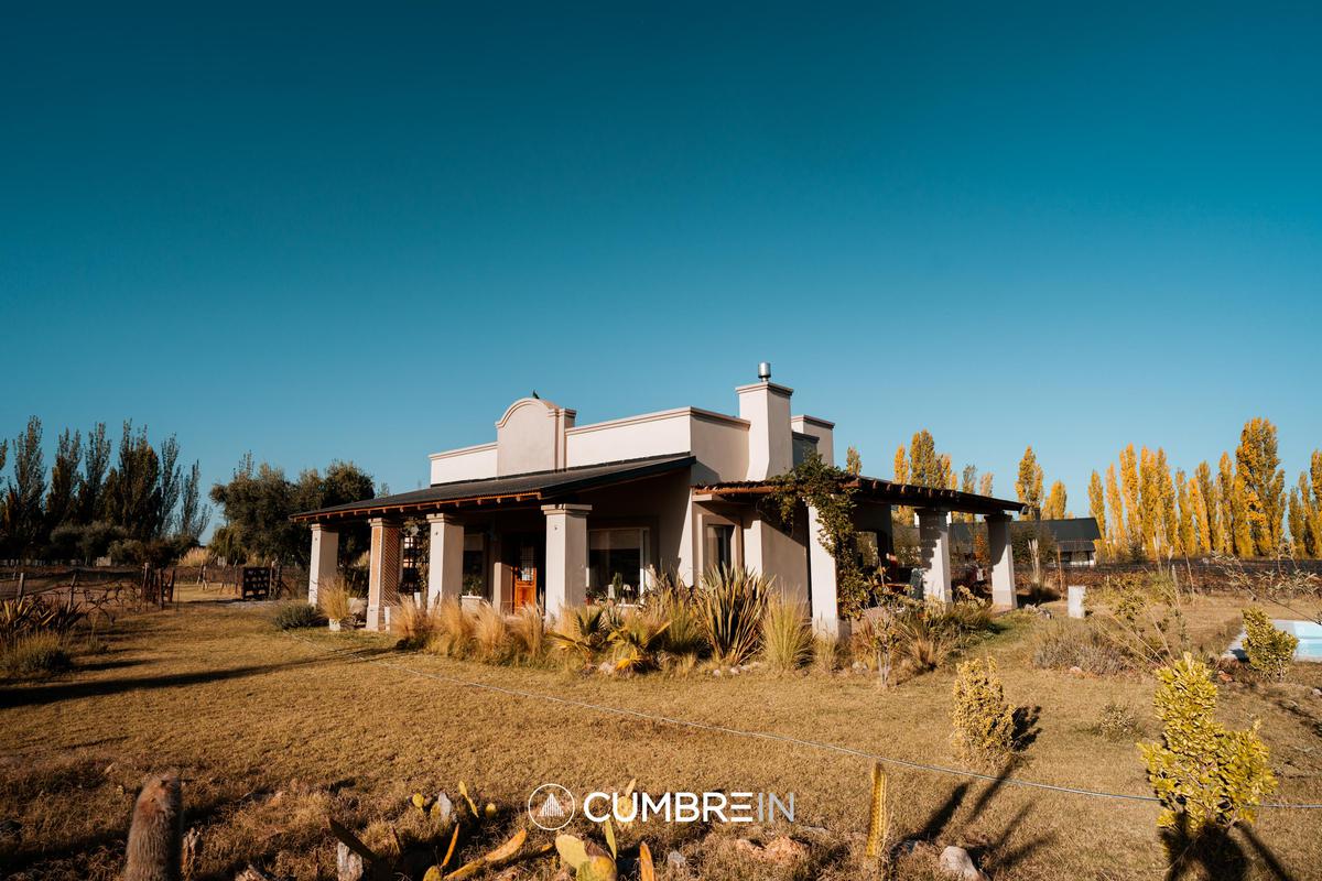 Hermosa casa con viñedos frente a la laguna en Miraviñas, Cuadro Benegas