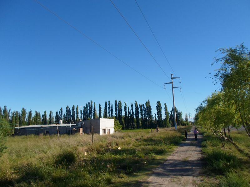Campo  Ruta 151
