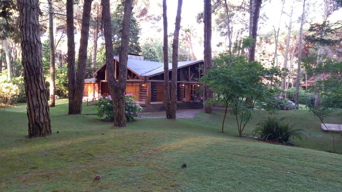 Cariló - Hermosa cabaña en el corazón del bosque! Verano 2024 - Consulte disponibilidad