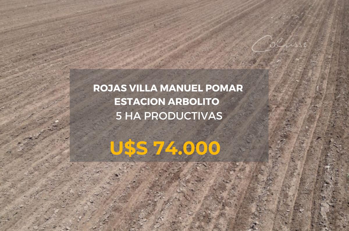 VENTA Campo 5 ha - Rojas-  Villa Manuel Pomar- Ideal cultivo de cereales-