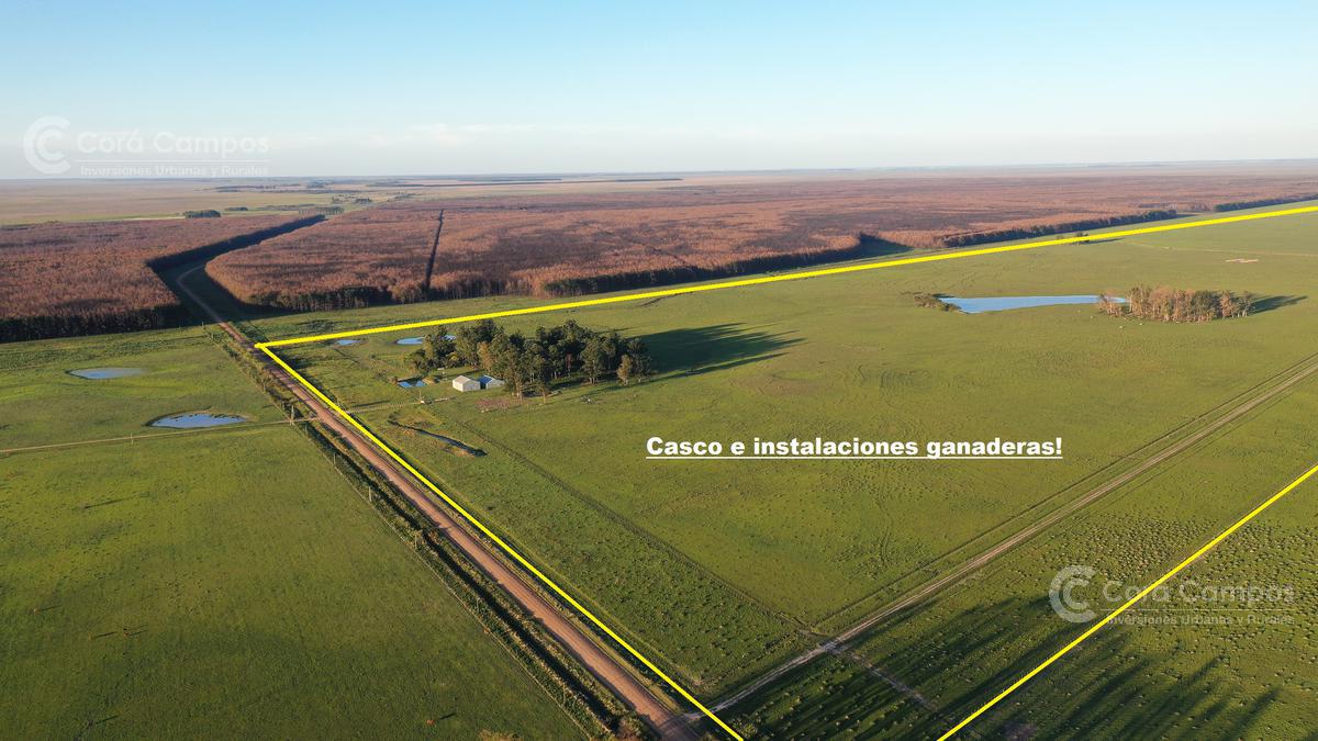 Se Vende Campo Foresto-ganadero  de 1123 ha en Paraje Galarza. Iberá. Corrientes